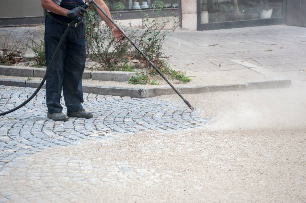 Best Roof Washing  in Rosendale, WI